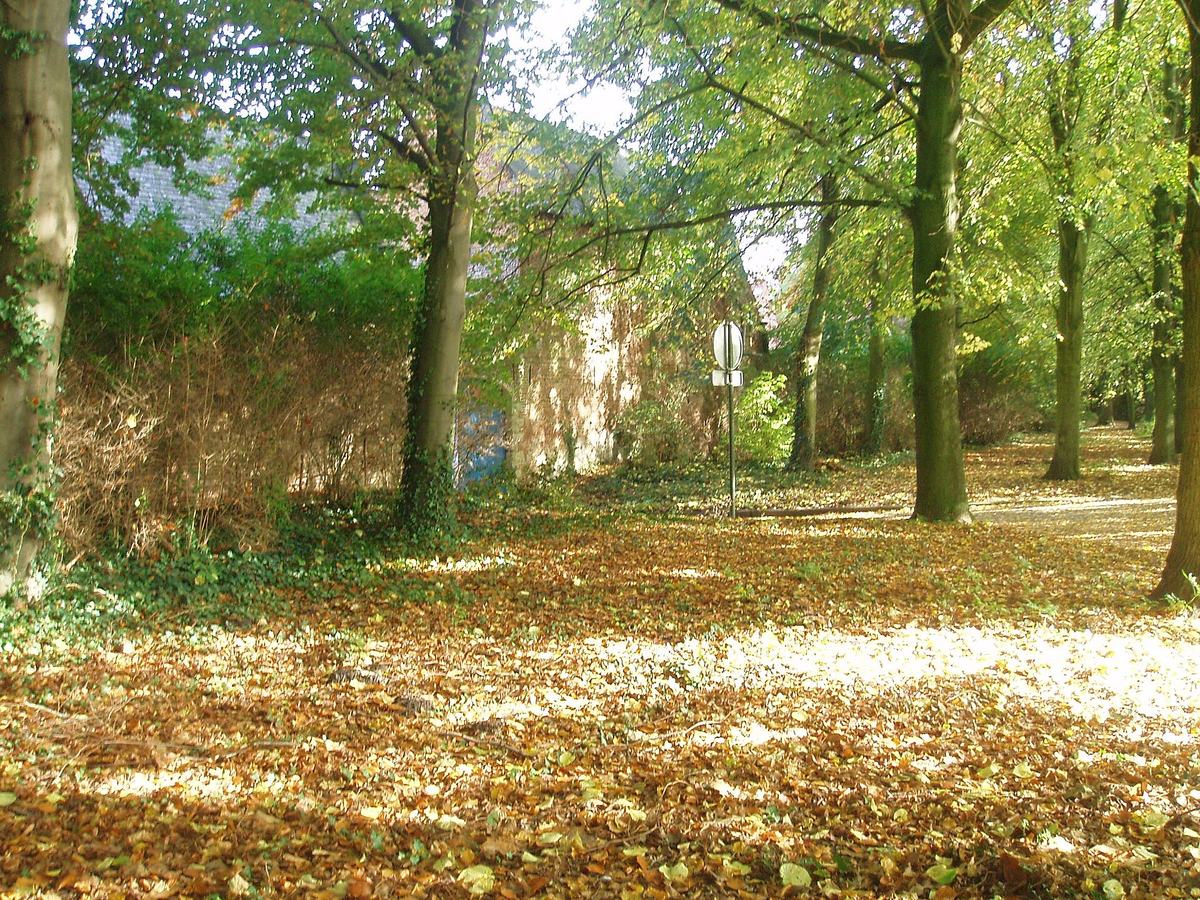 Hoge bomen en een tapijt van herfstbladeren op de Lierse vesten, met de muur van het begijnhof achteraan